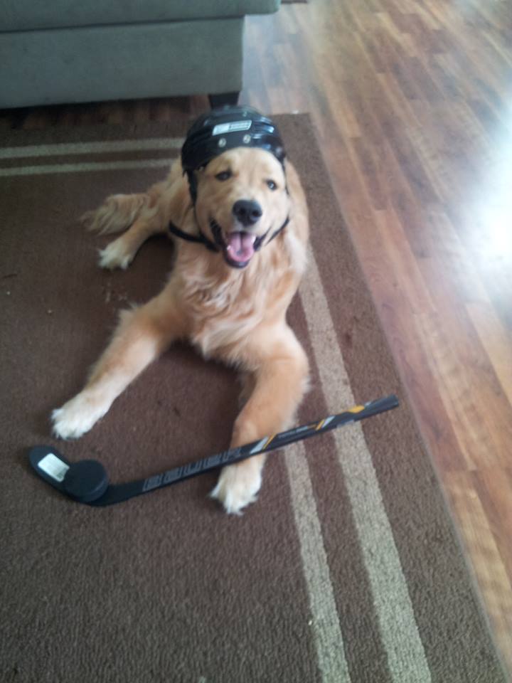 Oshie with Hocket Gear