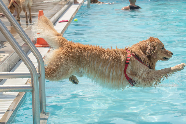 29481308412_9bbfaaea4e_z