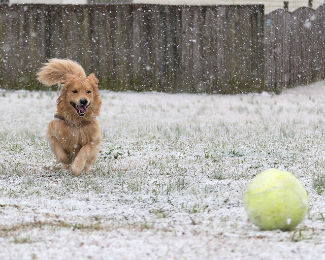 33427728125_d85006b6c7_z